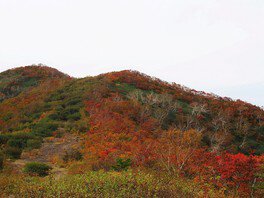 雫石スキー場(高倉山)の紅葉
