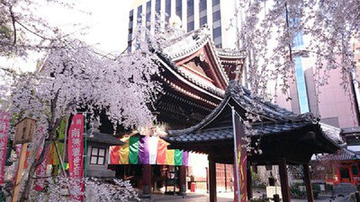 六角堂(紫雲山頂法寺)の桜