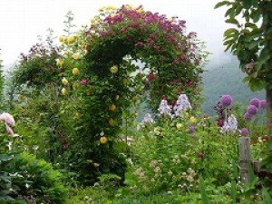 蔵王オープンガーデン山の春～初夏の庭