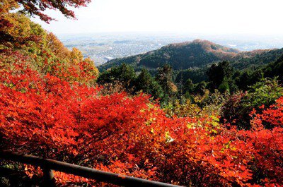 太平山の紅葉