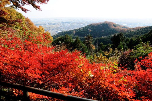 太平山の紅葉