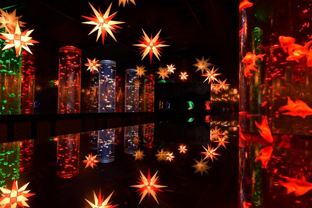 星降る銀座のクリスマス アートアクアリウム美術館 GINZA