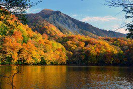 湖に映る木々の紅葉