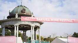 SAKURA WINE FESTIVAL2024(サクラワインフェスティバル2024)