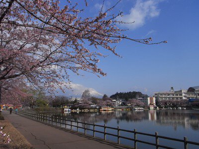高松公園の桜