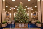 帝国ホテル 東京 クリスマスイルミネーション