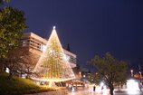 同志社大学(京田辺校地) クリスマス・イルミネーション