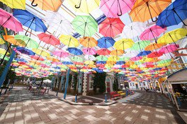 5色の傘が浮かぶストリートは写真撮影にぴったり