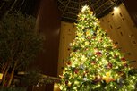11階まで吹き抜けの円形アトリウムにクリスマスツリーが設置される