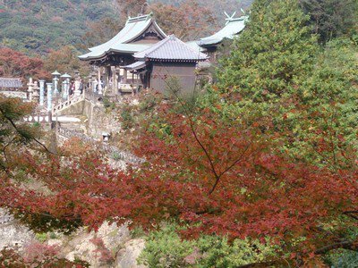 陶山神社の紅葉