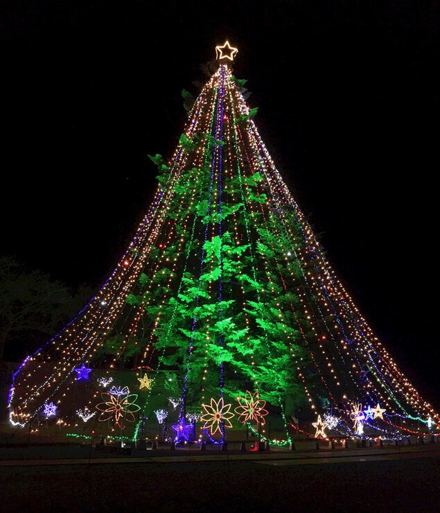 宮ヶ瀬湖畔園地・水の郷地域　ジャンボクリスマスツリーの点灯