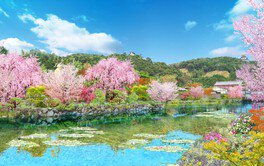 世界一の江戸庭園と日本一の園芸城下街リブランディングオープンイベント