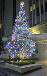 TOKYU DEPARTMENT STORE 2023 CHRISTMAS (東急百貨店2023クリスマス) 吉祥寺店