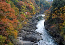 紅葉が彩る高津戸峡を渡良瀬川が勢いよく流れるさまは迫力がある