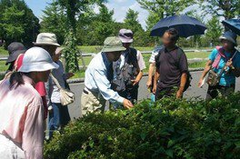 国営昭和記念公園　自然観察ツアー（6月）