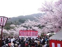三島公園桜まつり