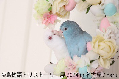 鳥物語トリストーリー展 2024 in 名古屋