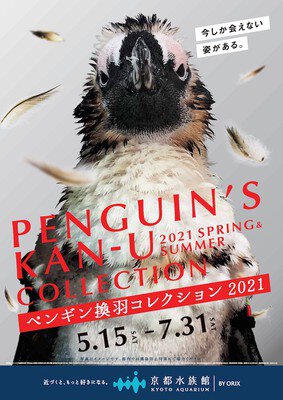 ペンギン換羽(かんう)コレクション2021