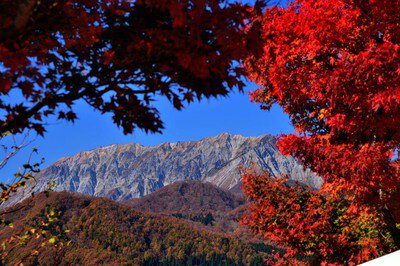 蒜山高原の紅葉