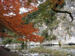 立神峡の紅葉