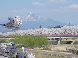 川面に映る磐梯山と桜並木が美しい