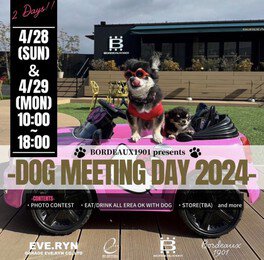 DOG MEETING DAY2024