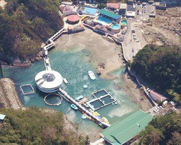おかげさまで下田海中水族館は57周年