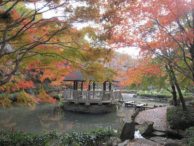 神奈川県立東高根森林公園の紅葉