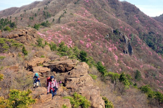 人気登山ガイド智さんと行く春のハジメテトザン 西赤石山