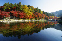 水面に映り込む紅葉の景観美は見事