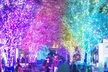 東京ミッドタウン日比谷　HIBIYA Magic Time Illumination 2023 (ヒビヤ・マジック・タイム・イルミネーション 2023)