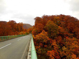 胆沢川渓谷の紅葉