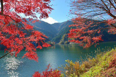 名栗湖 有間渓谷の紅葉