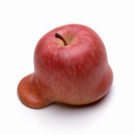 青森のりんご栽培取材をもとに「普遍的な林檎」を育てる、雨宮庸介による壮大なアートプロジェクトも紹介