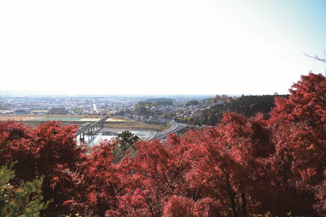 鳥羽山公園の紅葉