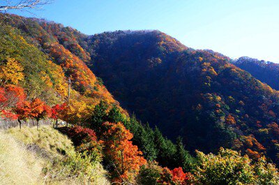 三峰山の紅葉