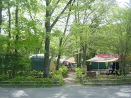 県立清和県民の森キャンプ場