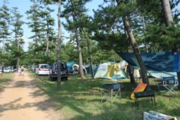 大島キャンプ場