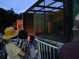夜の動物園まつり