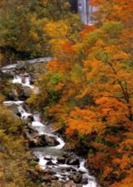 蛇行する大田切川と紅葉の景色