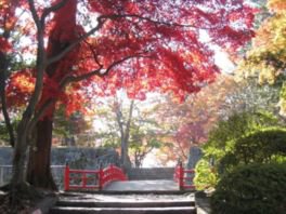 盛岡城跡公園(岩手公園)の紅葉