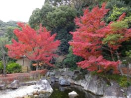 松山城二之丸史跡庭園の紅葉