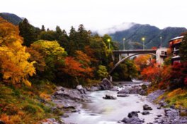 多摩川が紅葉に彩られた渓谷を勢いよく流れる