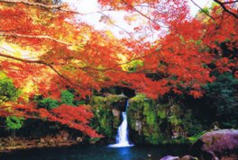 観音滝リゾートの紅葉