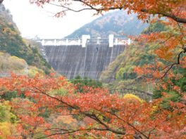 浦山ダム周辺の紅葉