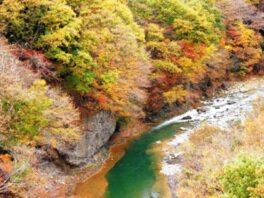 紅葉とエメラルドグリーンの川面