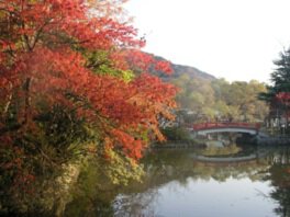源氏池にわたる橋と紅葉からは風情を感じられる