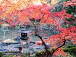 日本庭園の雪見型灯篭と紅葉