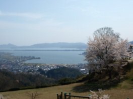 大内峠一字観公園の桜