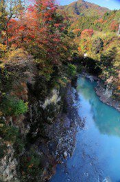 吾妻川の浸食でできた渓谷を紅葉が彩る